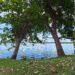Bacalar Lagoon 11