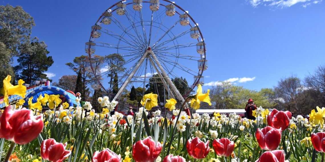 Canberra, Australia - Sept 29, 2018. Ferris wheel at the Spring Festival of Floriade. Masses of tulips in front of the Ferris Wheel at Floriade in Commonwealth Park.