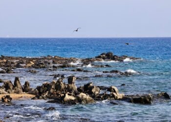 Red Sea coast at Umluj, Tabuk Province, Saudi Arabia