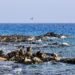 Red Sea coast at Umluj, Tabuk Province, Saudi Arabia